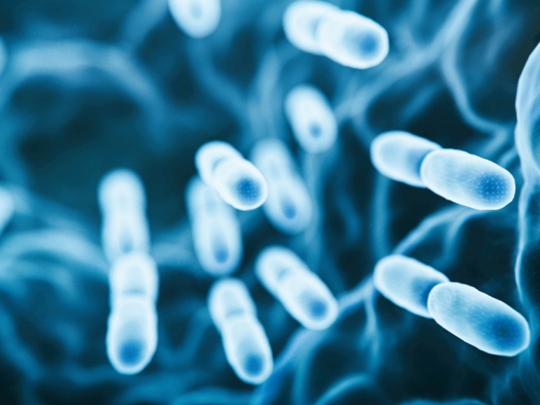 illustration of bacteria composing oral biofilm
